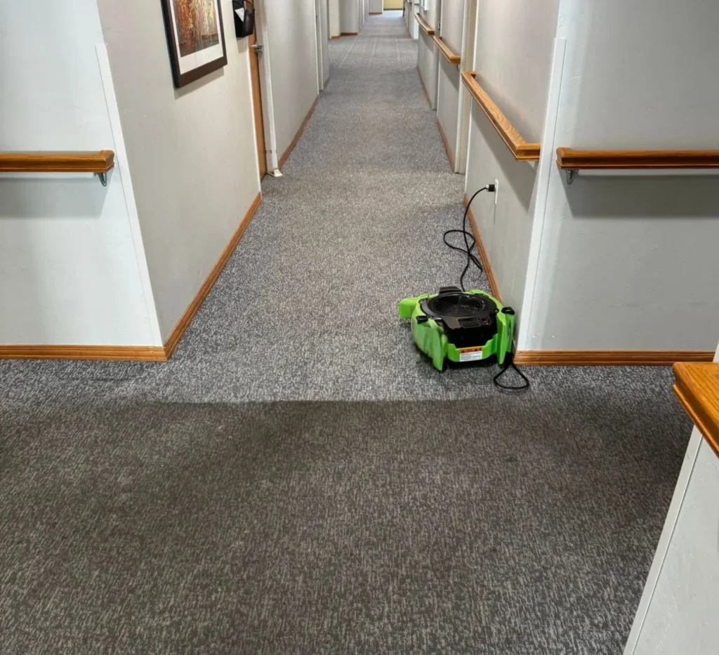 Move In & Move Out Cleaning